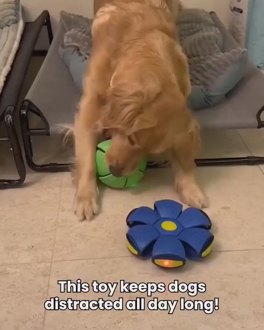 Happiness for Your Pet - Magic Football (Multicolor)